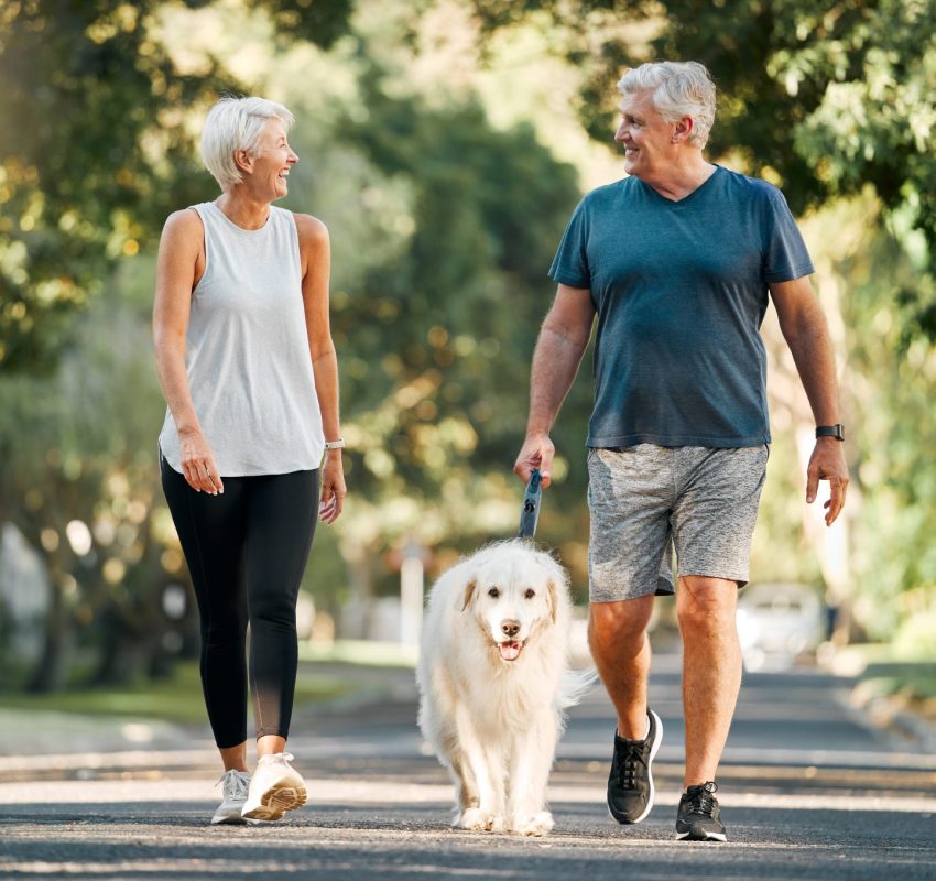 Older couple discuss compounding for pets while on walk with white haired dog