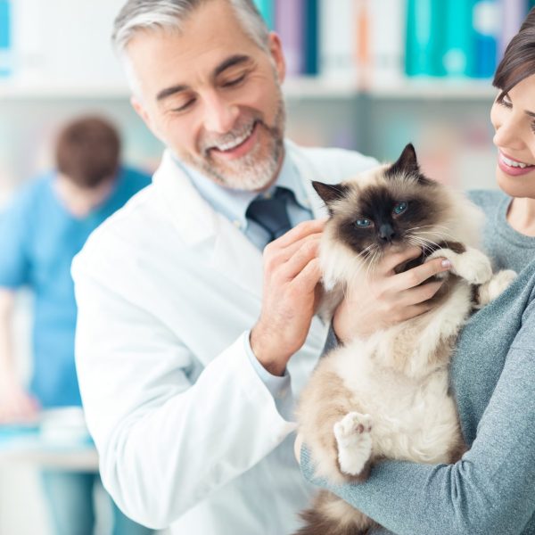 Woman holding cat discusses compounding for pets with vet