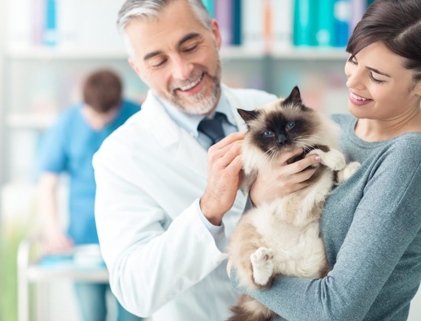 Woman holding cat discusses compounding for pets with vet